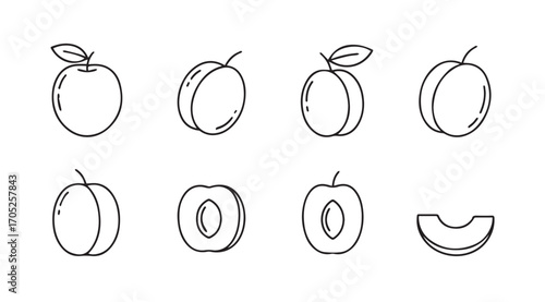 Collection of stylized plum illustrations showing whole fruit and halves silhouette
