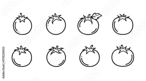 Collection of eight hand drawn tomato illustrations in a simple outline silhouette style