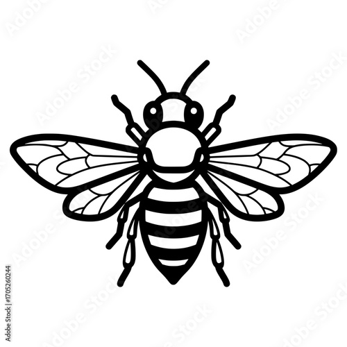 A simple and elegant illustration of a bee in a line art style. 
