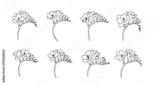 Collection of eight delicate sketched tree silhouettes in a minimalist artistic style