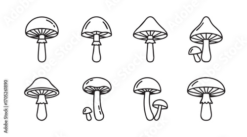 Collection of hand drawn mushroom silhouettes in outline style