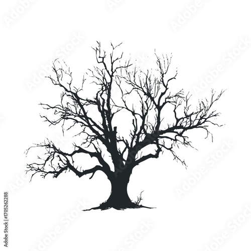 A silhouette of a spooky, leafless, and dead tree.