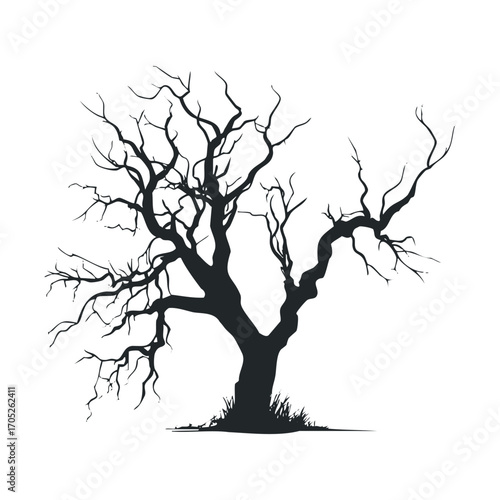 A black silhouette of a spooky, leafless tree.