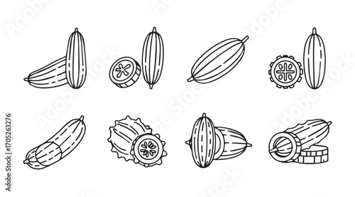 Collection of various gourds and cucumbers in a distinctive silhouette style