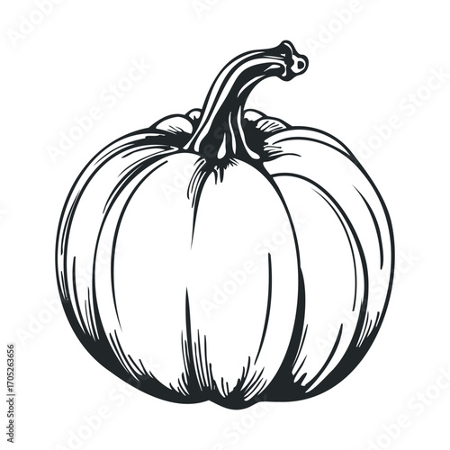 A round pumpkin with a stem.