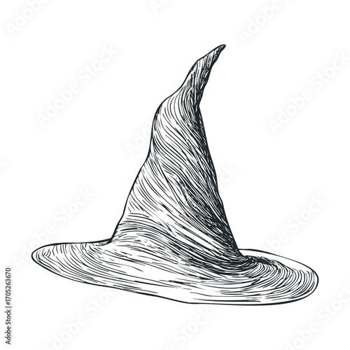 A pointed witch's hat with a wide brim.