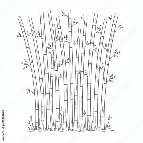 A detailed line drawing depicts a cluster of bamboo stalks with small leaves, growing from the ground.