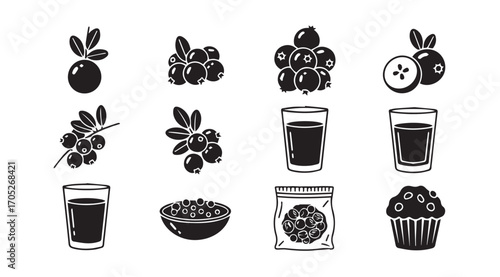 Collection of fresh berries juices and desserts in a distinctive silhouette style
