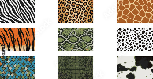 Diverse Collection of Animal Skin, Fur, and Scale Patterns