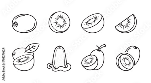 Collection of hand drawn kiwi fruit illustrations showing various cuts and stages silhouette