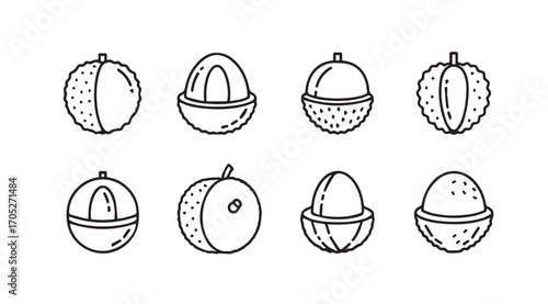 Collection of tropical fruit silhouettes with detailed outlines and internal sections