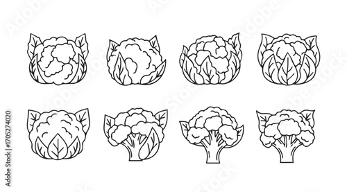 Collection of eight detailed artichoke silhouettes in a clean line art style
