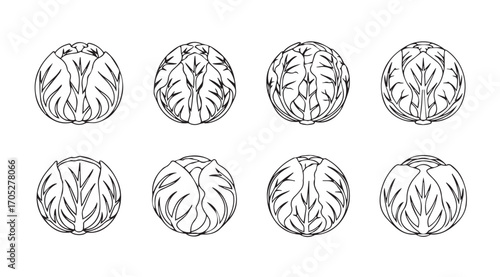 Eight detailed hand drawn silhouettes of oval shaped objects with leafy patterns