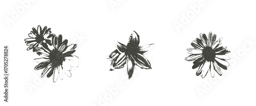 Chamomile and lily flowers with photocopy retro effect set. Daisy heads plant. Y2k grain elements. Stippling collage shapes isolated on transparent background. Vector magazine noisy illustration.