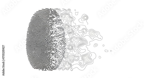 Abstract biometric identification featuring merging fingerprint and contour mapping symbol