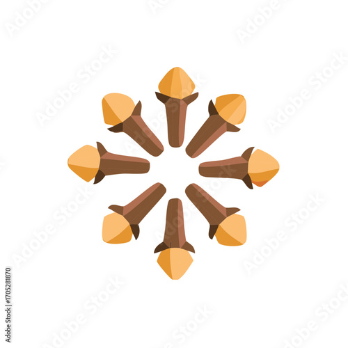 Decorative star pattern made from dried whole cloves aromatic culinary spices