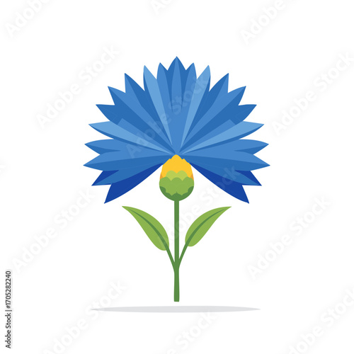 Simple Blue Cornflower Illustration with Bud and Leaves, Flat Design Style