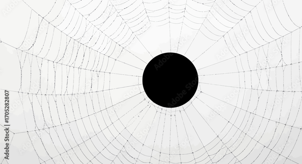 Εκτύπωση καμβά Detailed close up of a spiderweb with a dark void offering an ethereal aesthetic
