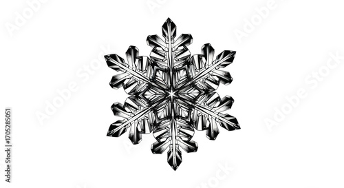 Monochrome intricate snowflake design against a clean white backdrop showcases crystalline geometry