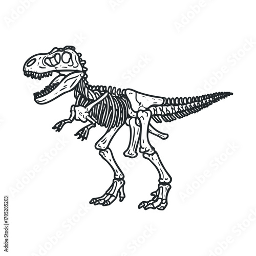 A detailed, stylized drawing of a dinosaur skeleton.