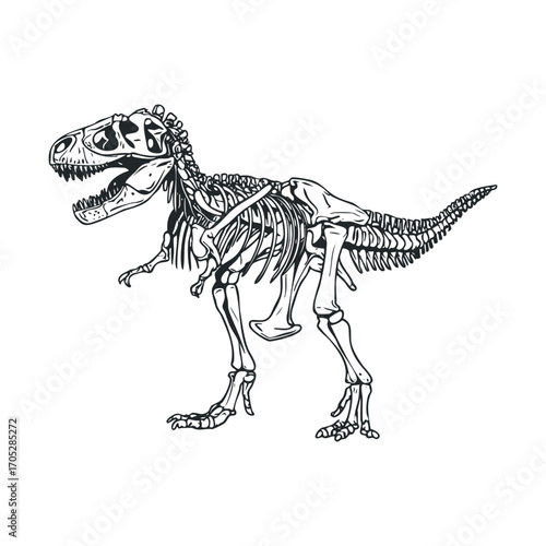 A black and white line drawing of a dinosaur skeleton.