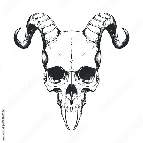 A black and white line drawing of a horned skull.