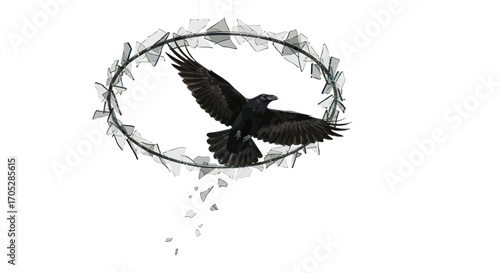 Raven soars through a shattered glass halo evoking themes of freedom and fragility