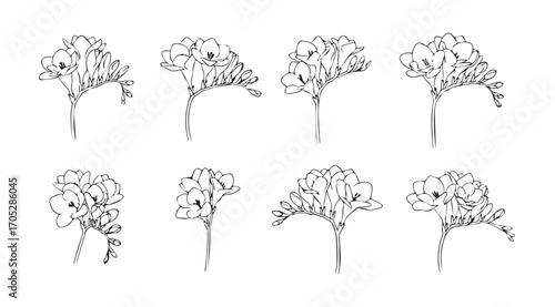 Collection of delicate botanical flower silhouettes in a sketchy outline style