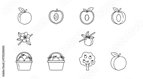 Collection of hand drawn fruit and floral icons in a sketchy silhouette style
