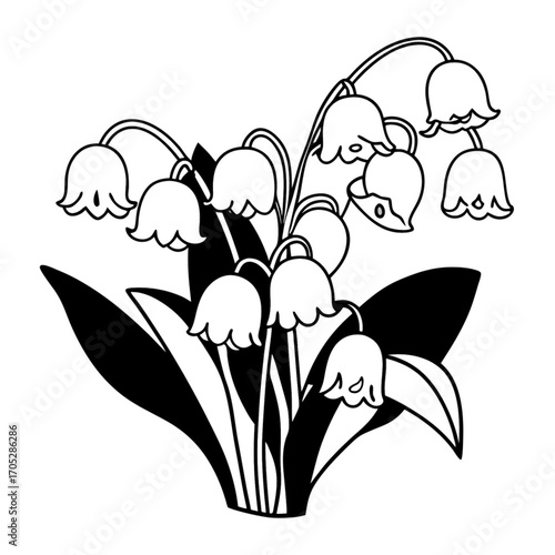 Minimilist illustration of a lily of the valley plant with bell shaped flowers and broad leaves in black and white line art vector