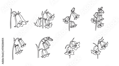 Collection of delicate floral silhouettes in a botanical illustration style