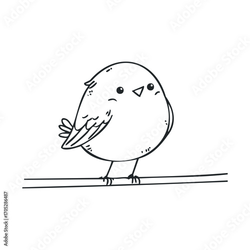 A cute, chubby bird is perched on a wire.