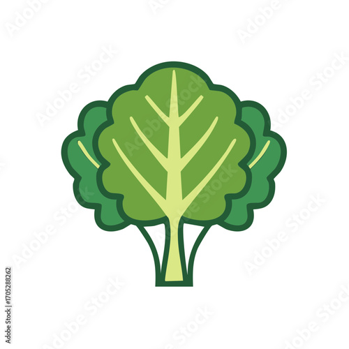 Chard Icon: Healthy Green Leafy Vegetable, Diet and Nutrition Vector Illustration