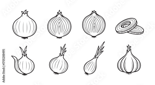 Collection of hand drawn onion illustrations in a distinctive silhouette style