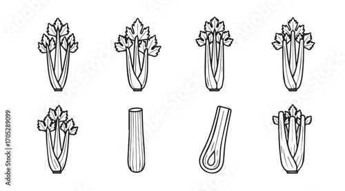 Collection of hand drawn celery stalks and pieces silhouette