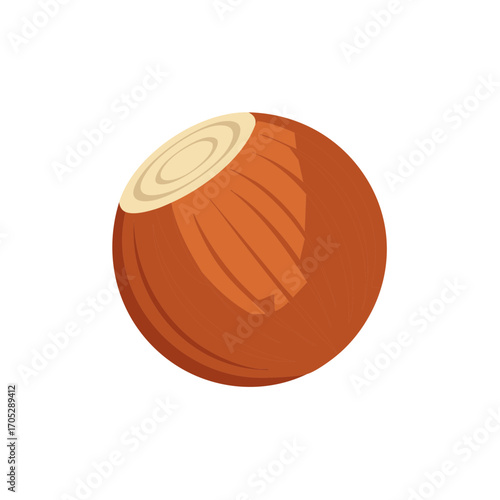 Single Hazelnut Illustration Isolated on White Background Close up