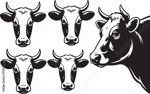 Monochrome Cow Head Silhouettes Collection Farm Animal Illustration Livestock Cattle Bovine