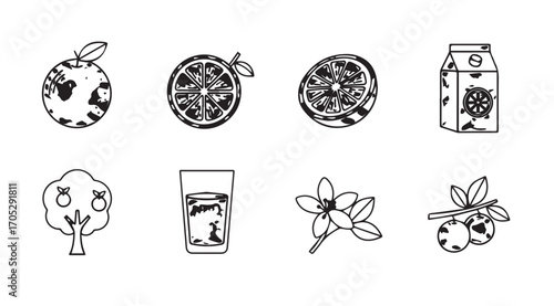 Collection of orange fruit and juice related icons in a sketchy silhouette style
