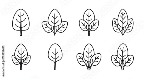 Collection of stylized spinach leaf outlines in a simple silhouette design