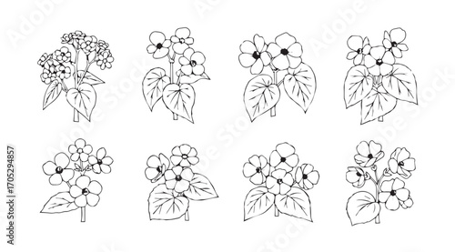 Collection of delicate floral sprigs in a stylized silhouette style