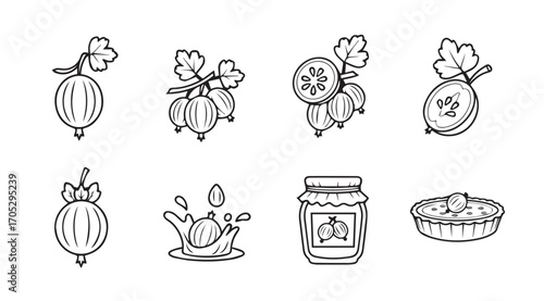Collection of gooseberry illustrations in a distinctive silhouette style