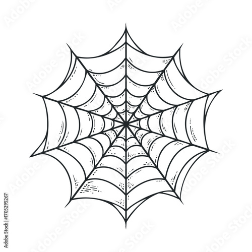 A detailed drawing of a spiderweb.