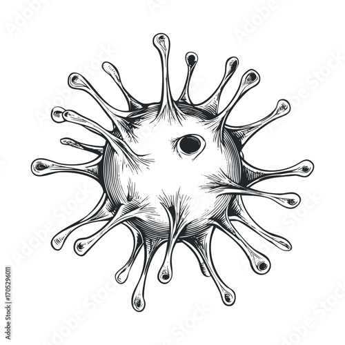 A hand-drawn, spiky virus cell.
