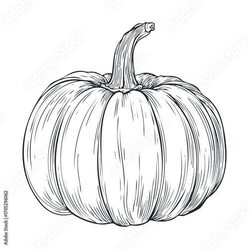A hand-drawn pumpkin with a long stem.