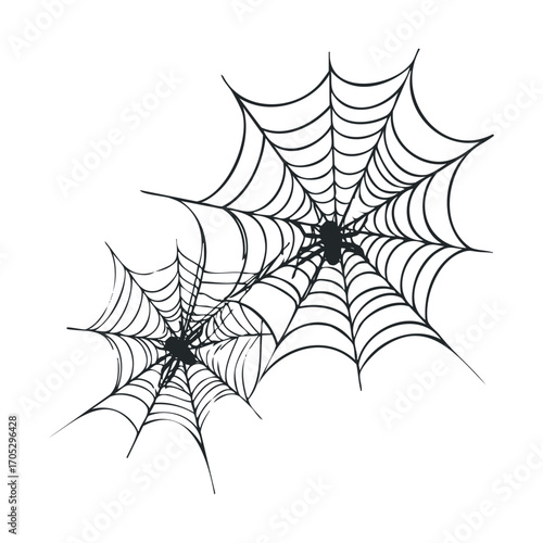 Two spiders on separate, spooky webs.