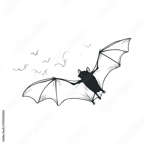 A drawing of a bat with outstretched wings in flight.