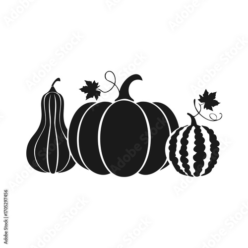 Assorted Pumpkins and Gourds Silhouette Keywords: pumpkin, gourd, squash, autumn, fall, harvest