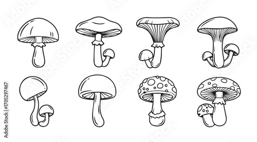 Collection of hand drawn mushroom silhouettes in outline style