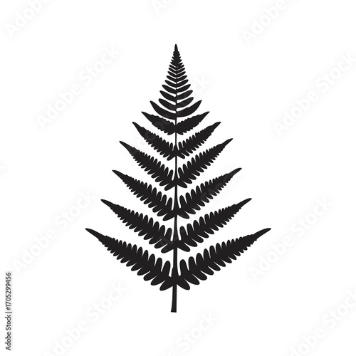 Black silhouette of a fern frond on white leaf plant