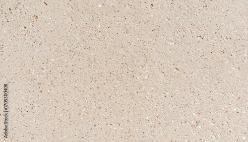 Pitted Matte Bone Texture: Neutral Background with Tiny Pores